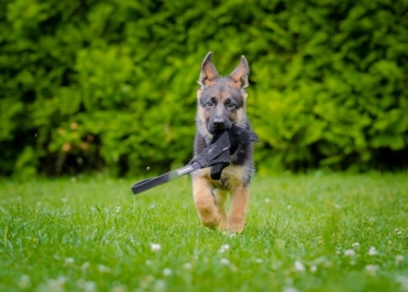 Mini Beißtuch -1 Griff-23cm